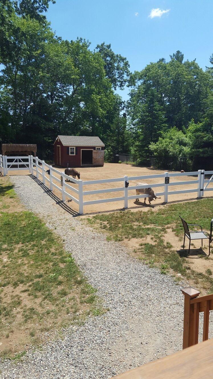 Photo by jennyrose0853