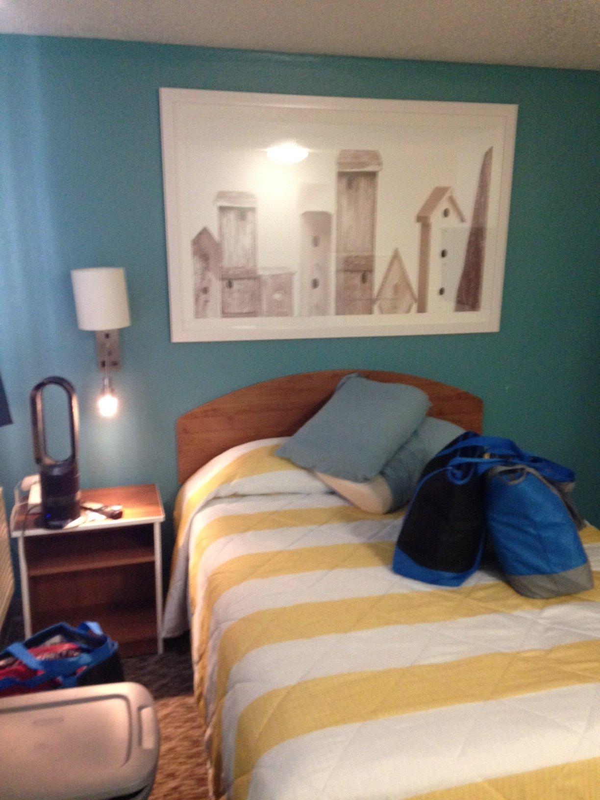 Photo by austinejenkins