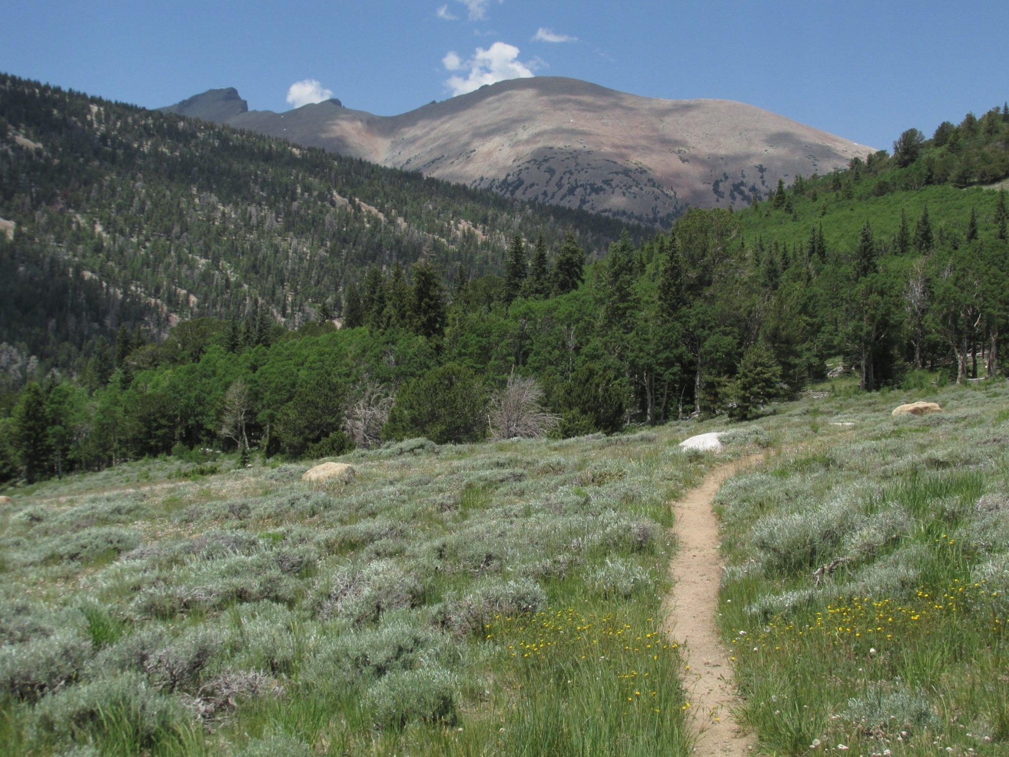 Baker Creek Loop Trail