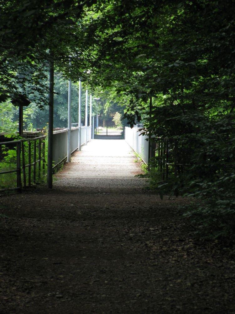 Rabensteiner Viadukt