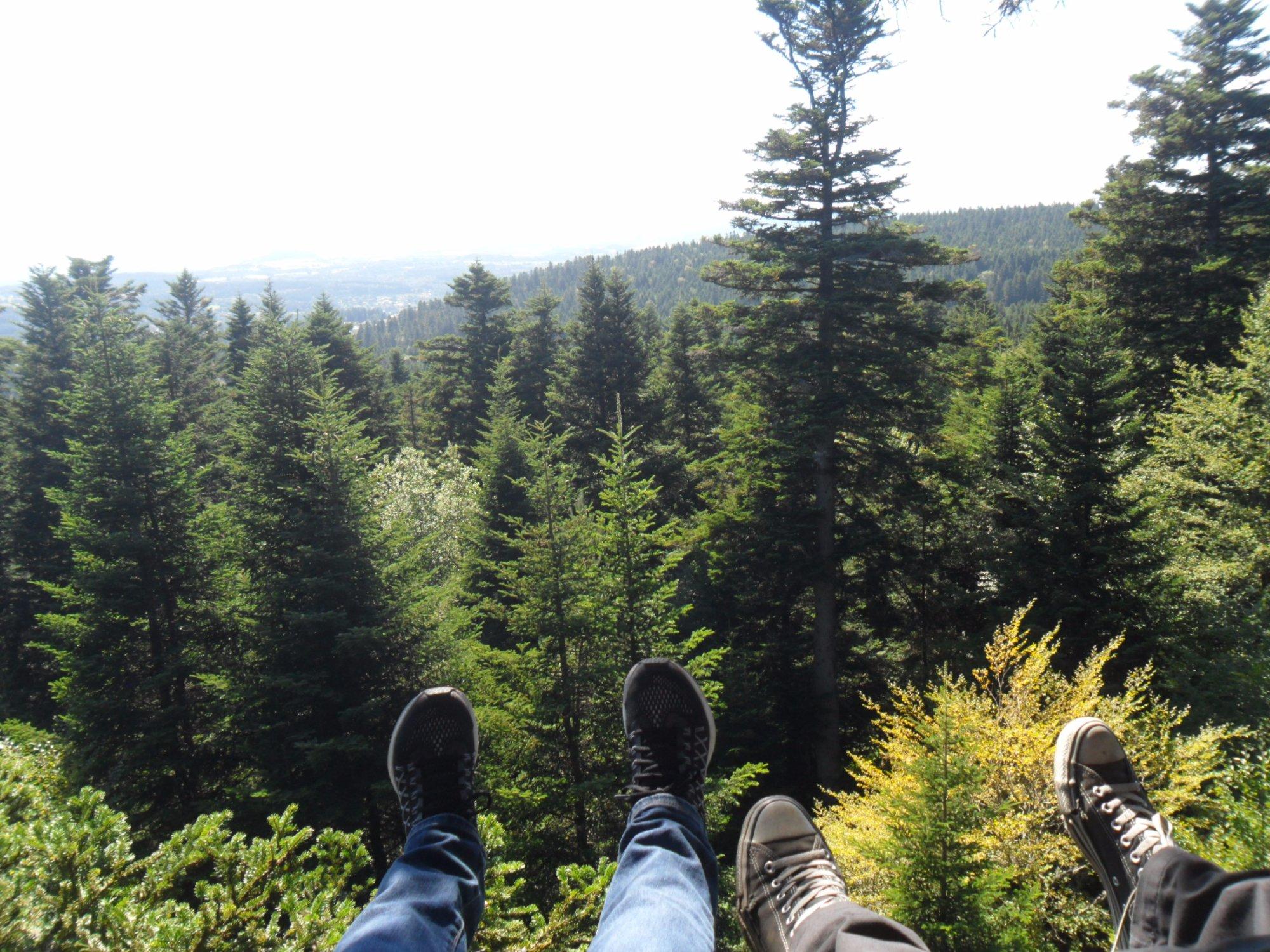 Parcours Aventure de l'Ecureuil