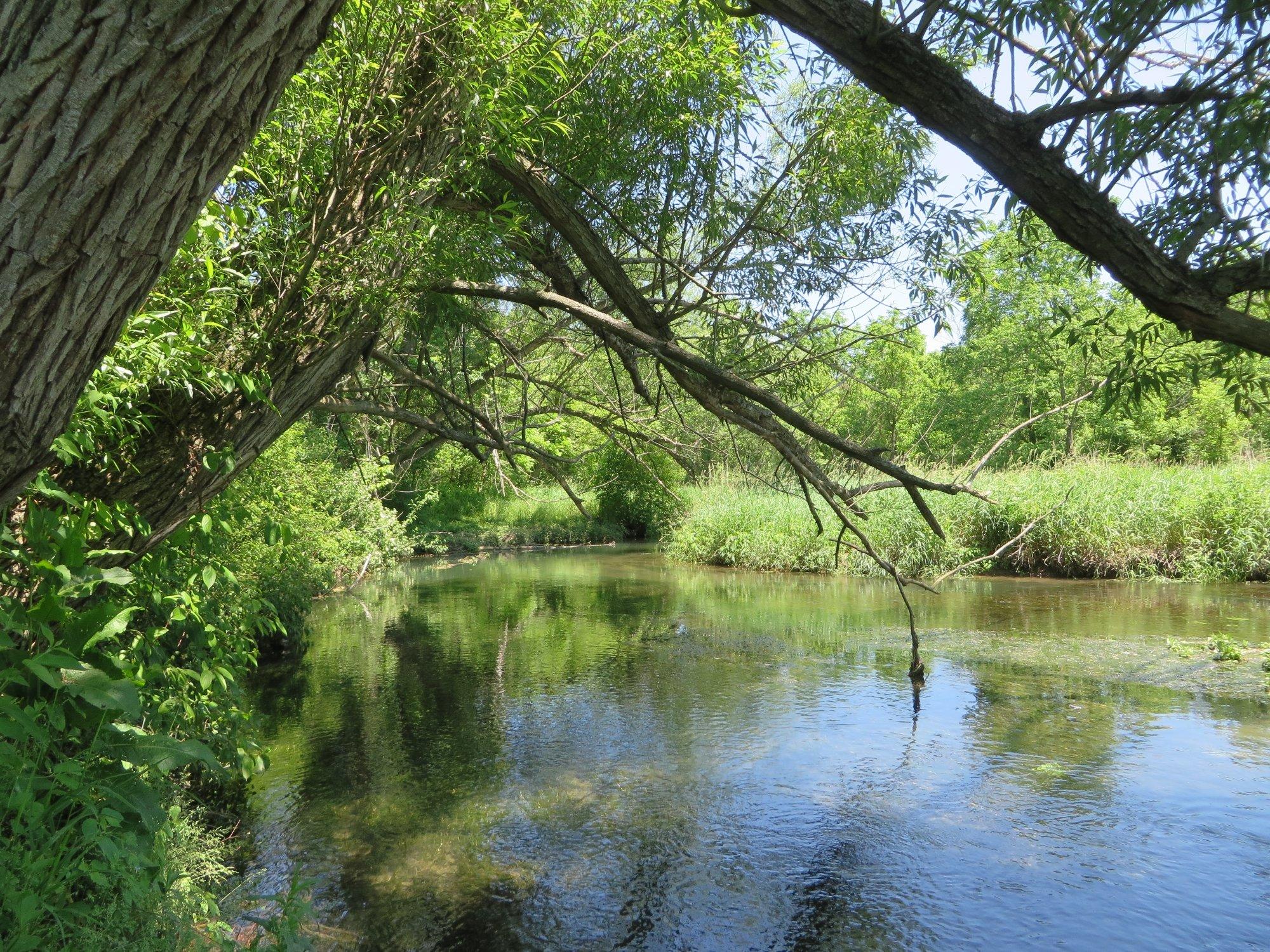 Millbrook Marsh Nature Center