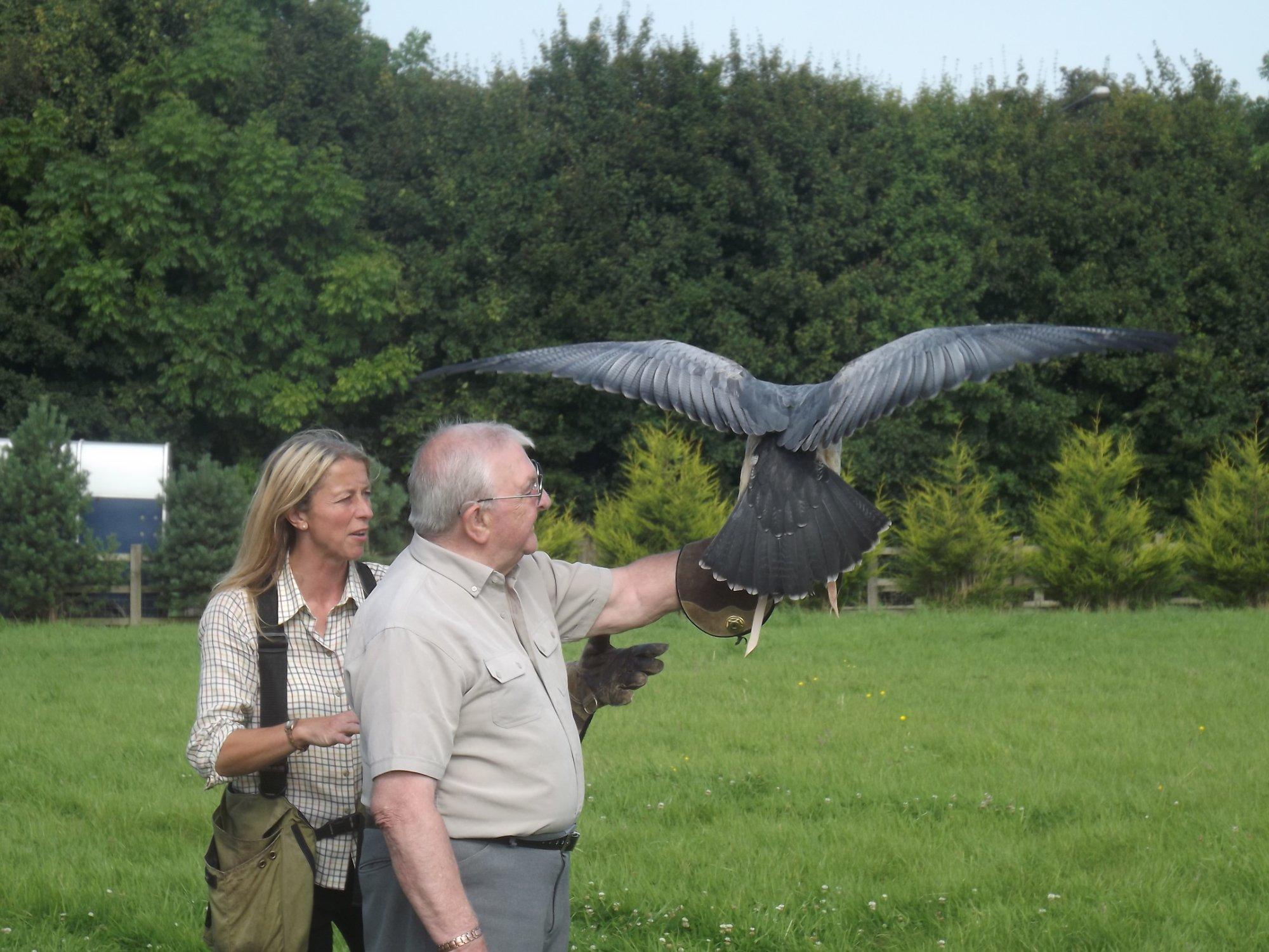 Vale Royal Falconry Centre