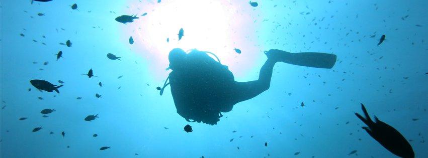 Divestar International