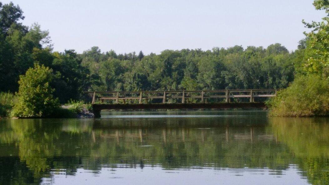 Blue Marsh Lake