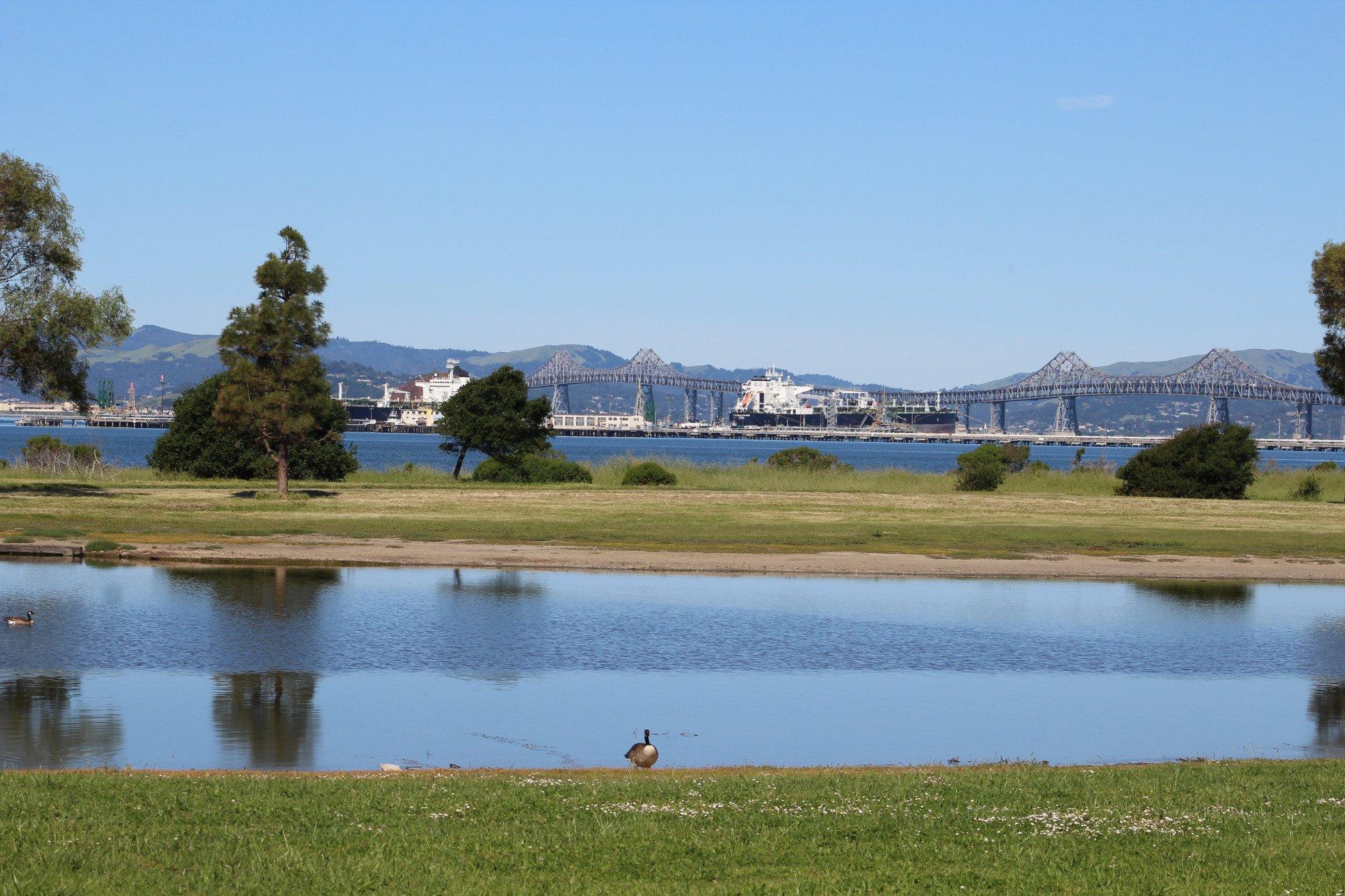 Miller Knox Regional Shoreline