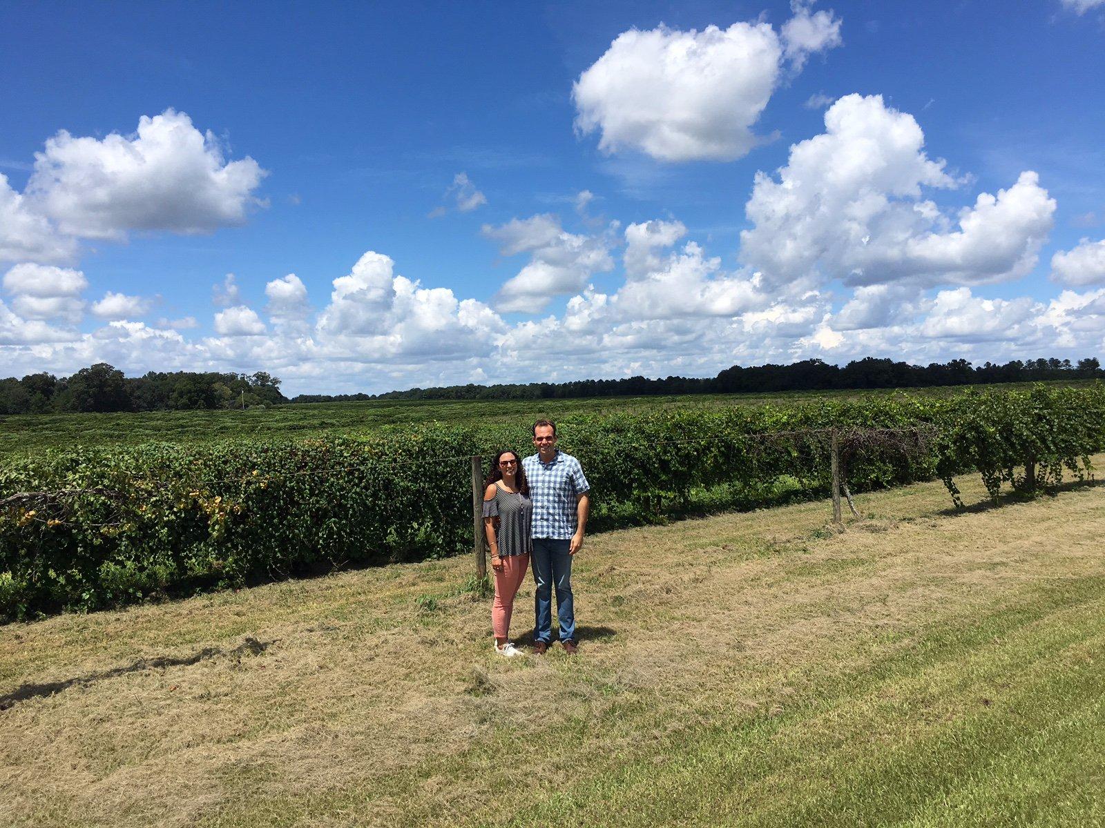 Still Pond Vineyard and Winery