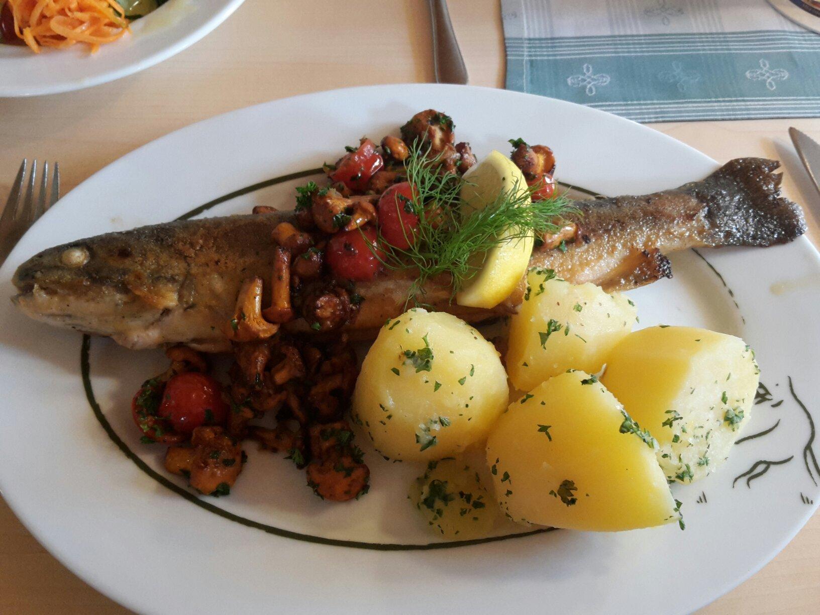 Photo by Armin Raimund W