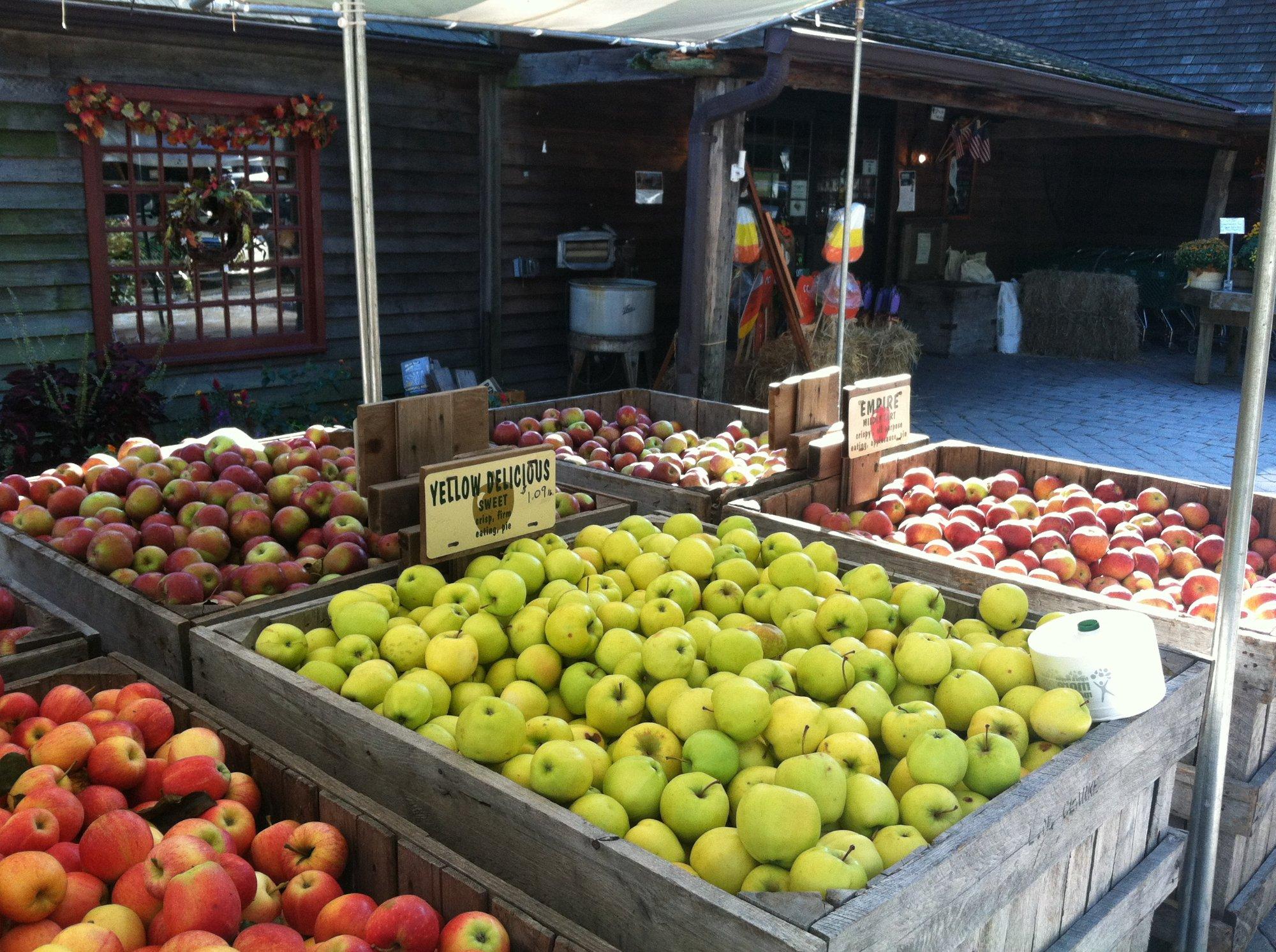 Abma's Farm