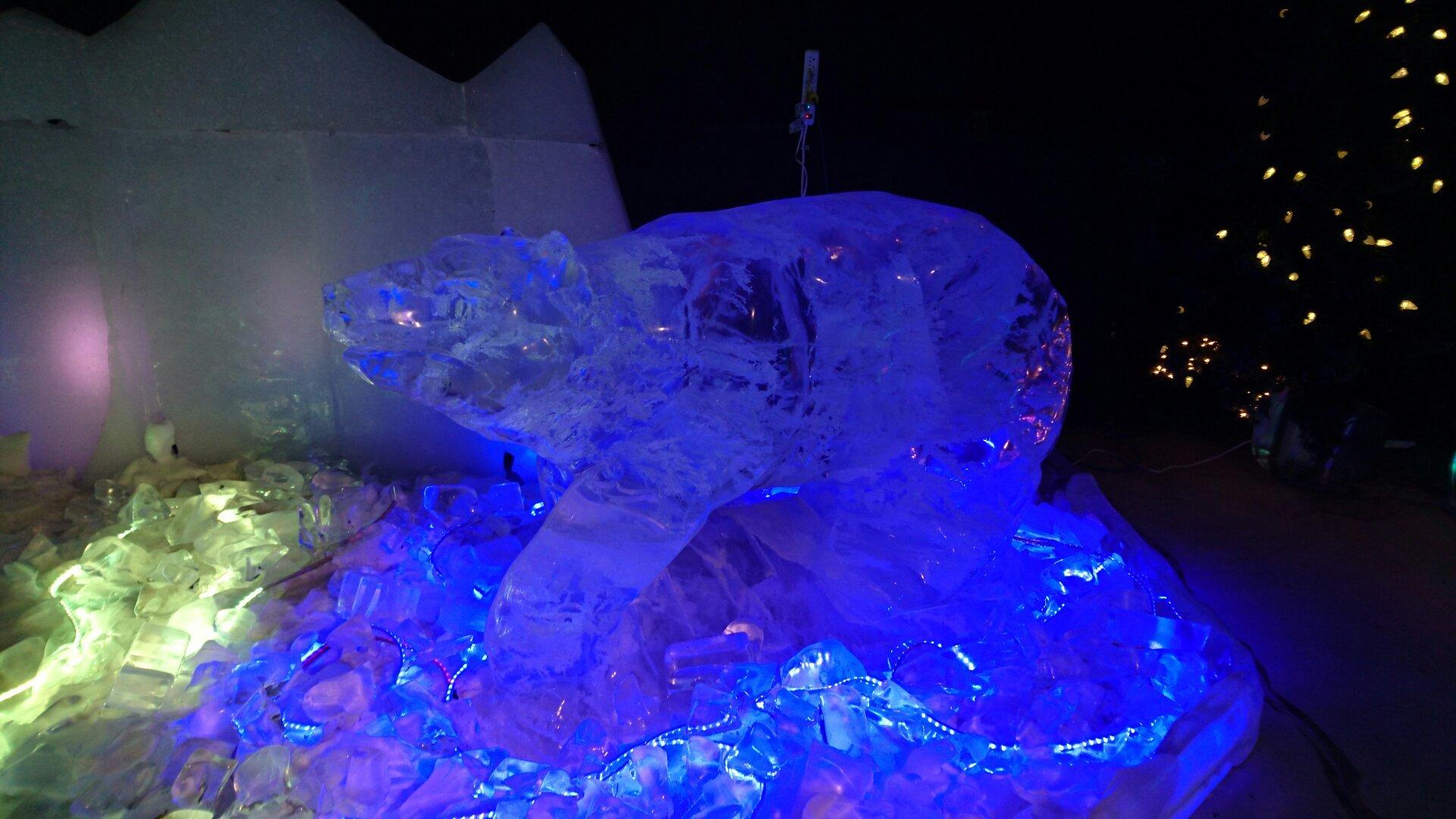 Fairbanks Ice Museum