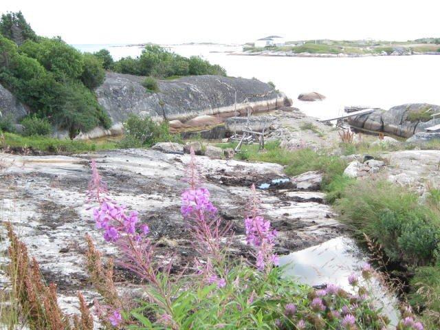 Norton's Cove Studio