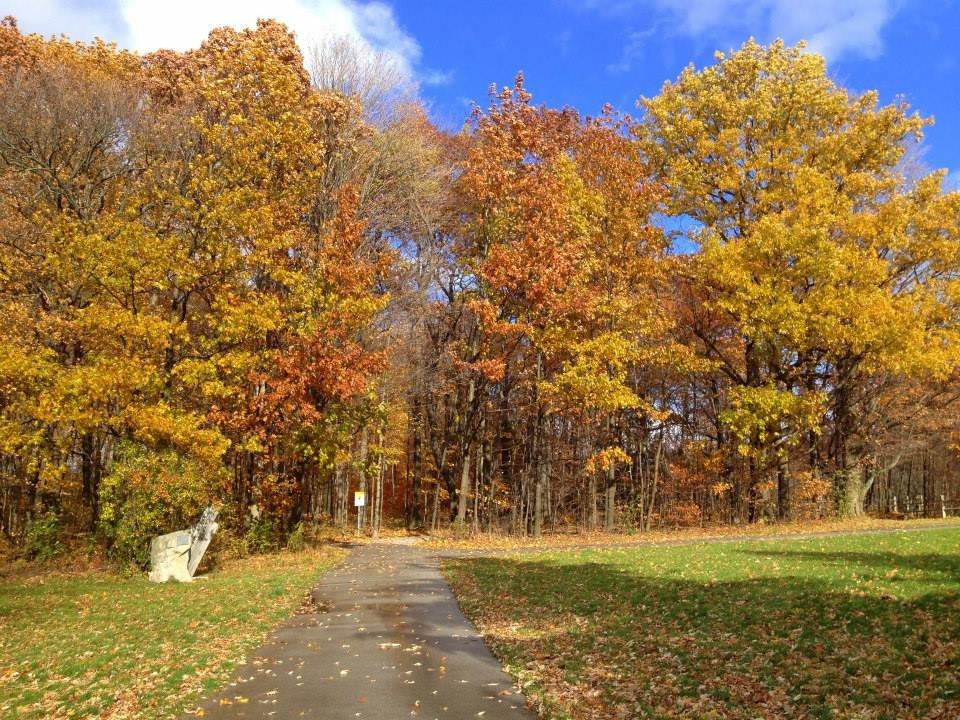 Felker's Falls Conservation Area