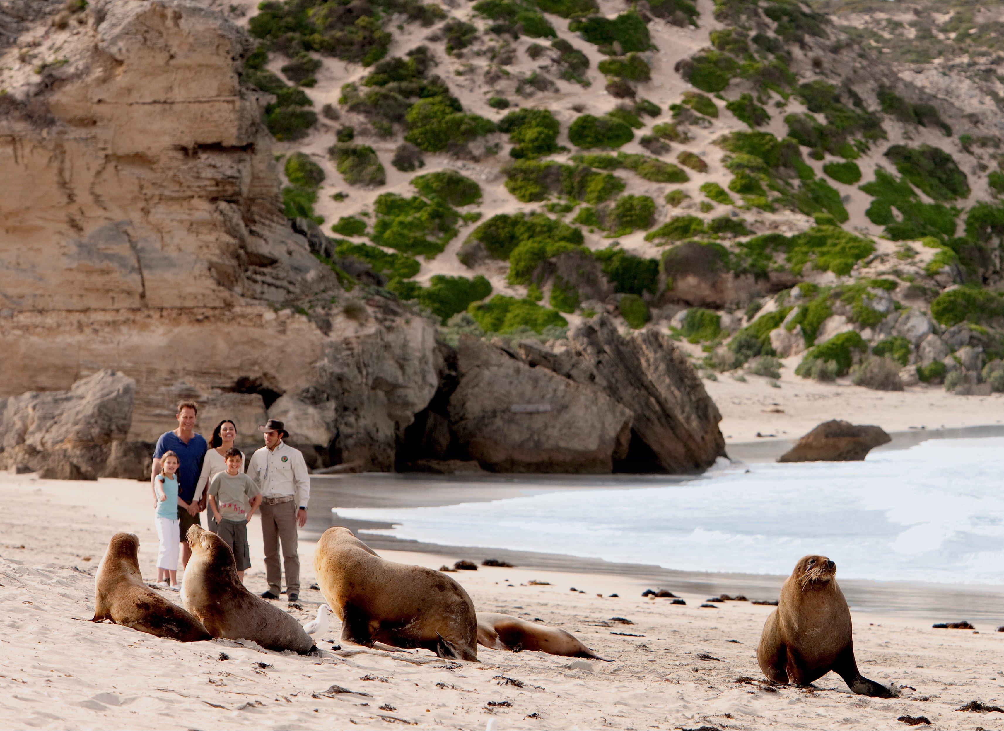 Kangaroo Island Trails