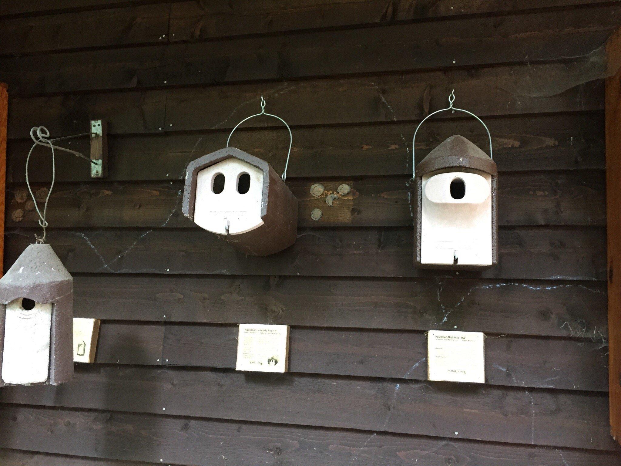 Wildpark Alte Fasanerie Klein-Auheim