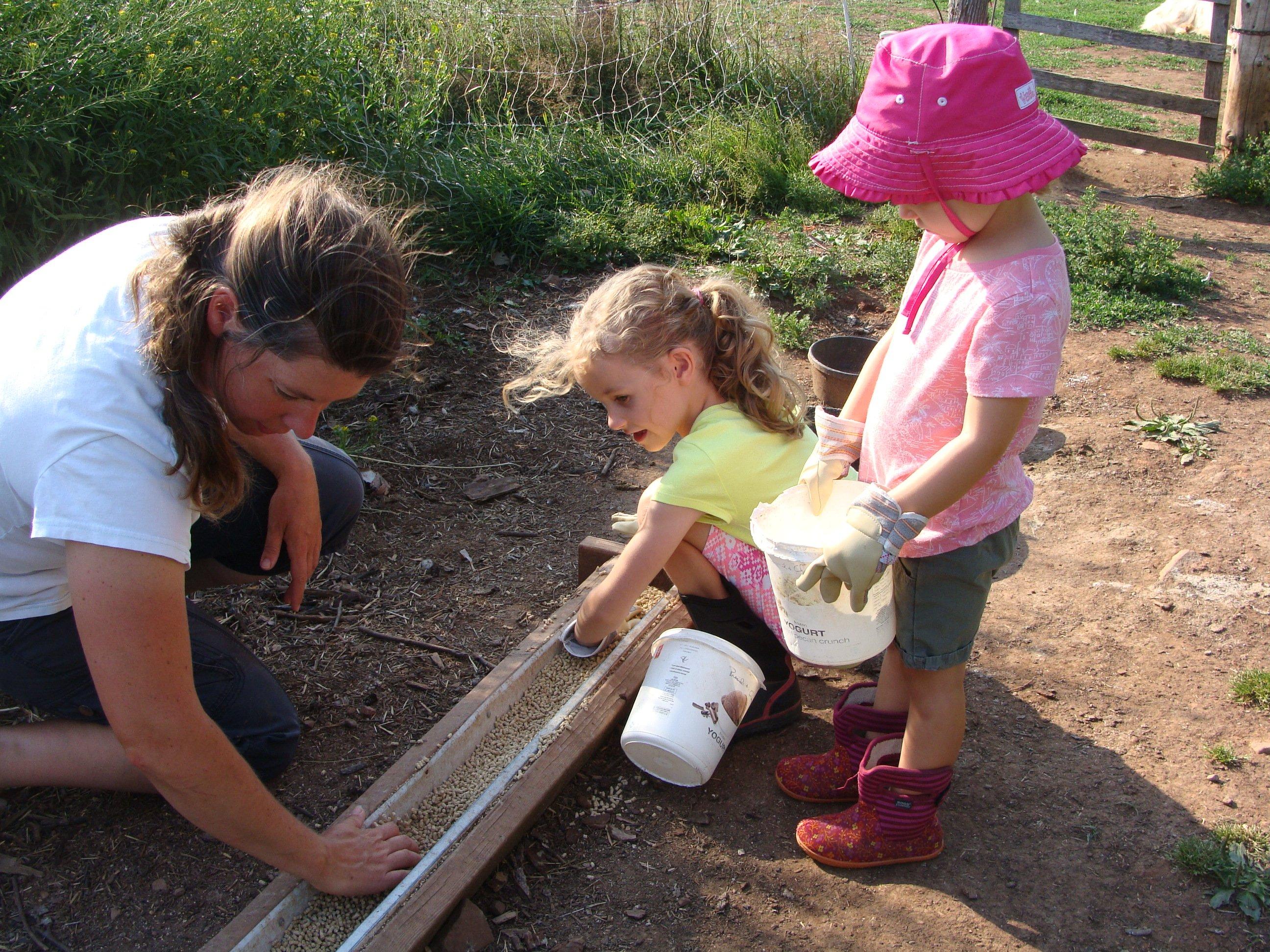 Experience PEI - Chore Time