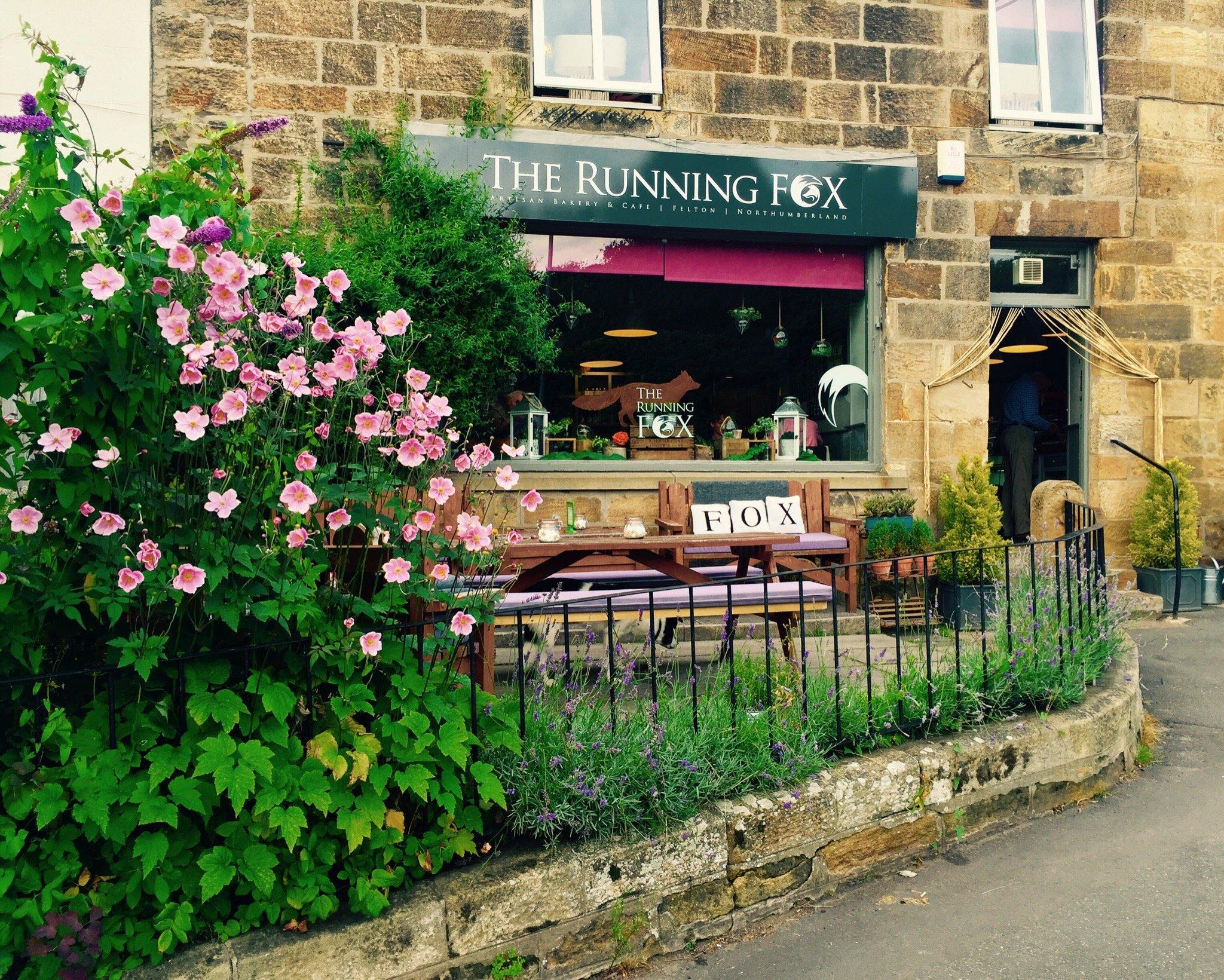 The Running Fox - Felton