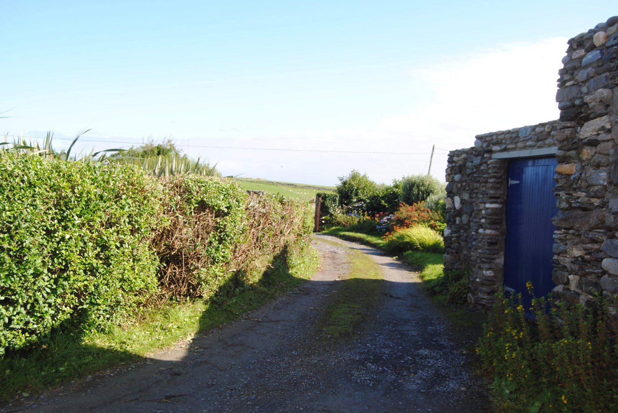 Fuchsia House B&B Renvyle