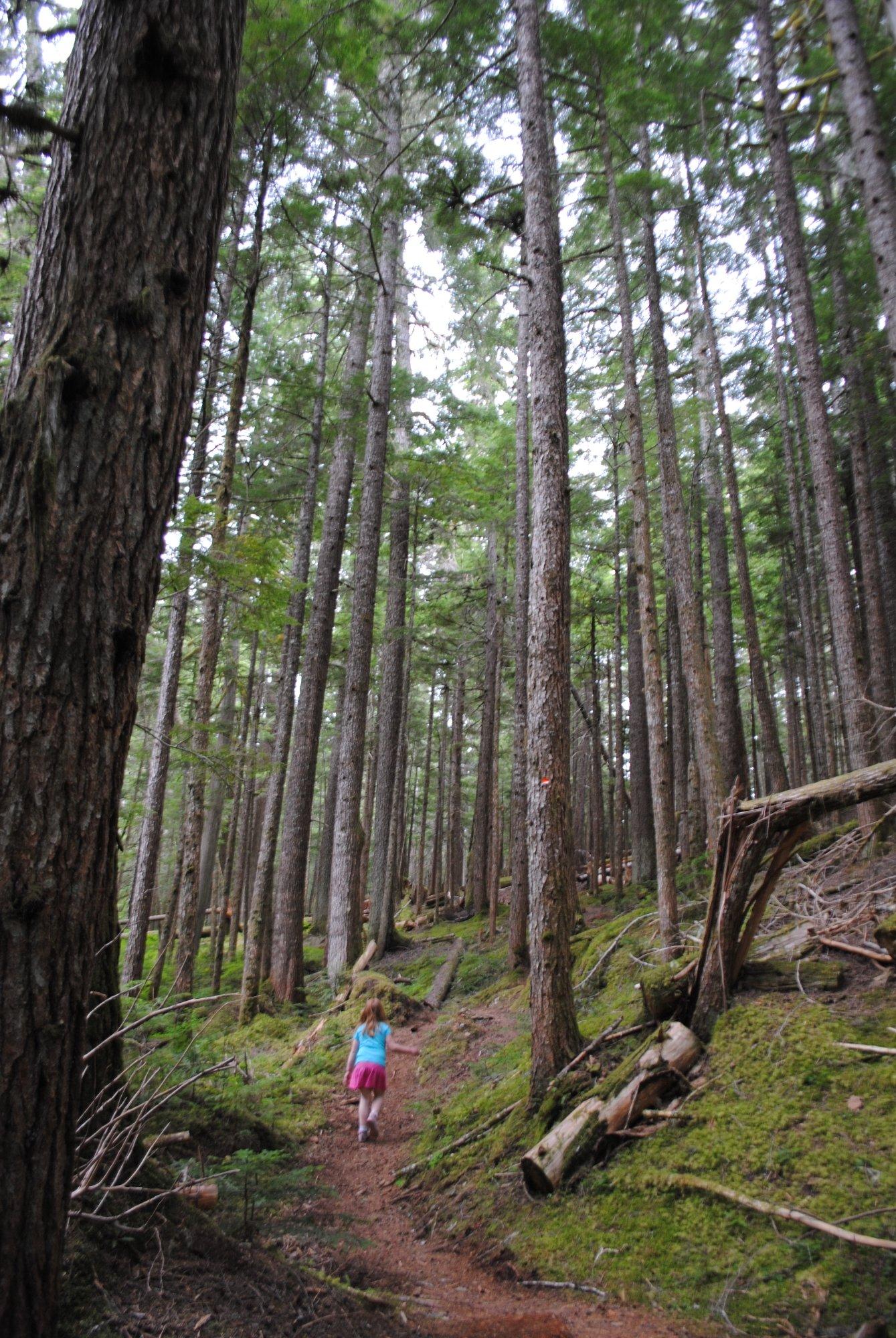 Hai Lake Mount Herman Provincial Park