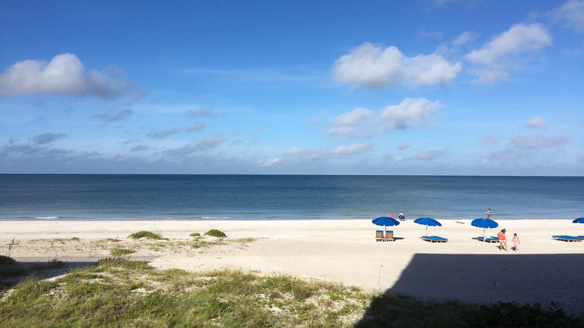 Photo by Sashapitnasty