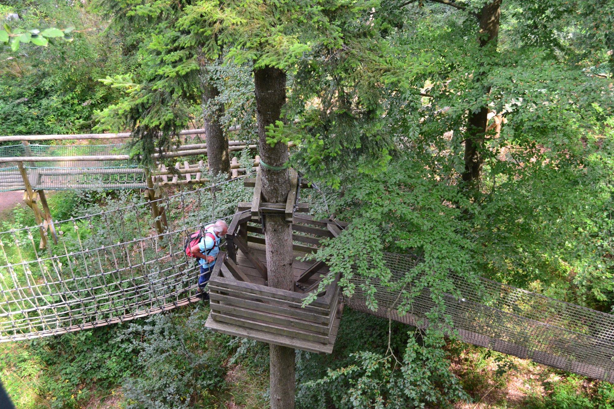 Baumkronenweg Waldkirch