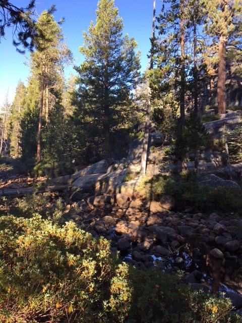 Yosemite Creek Campground