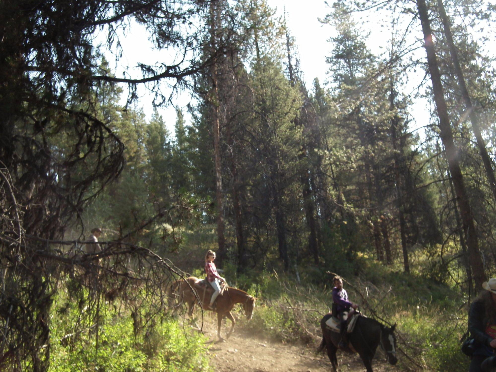 Swift Creek Outfitters & Teton Horseback Adventures