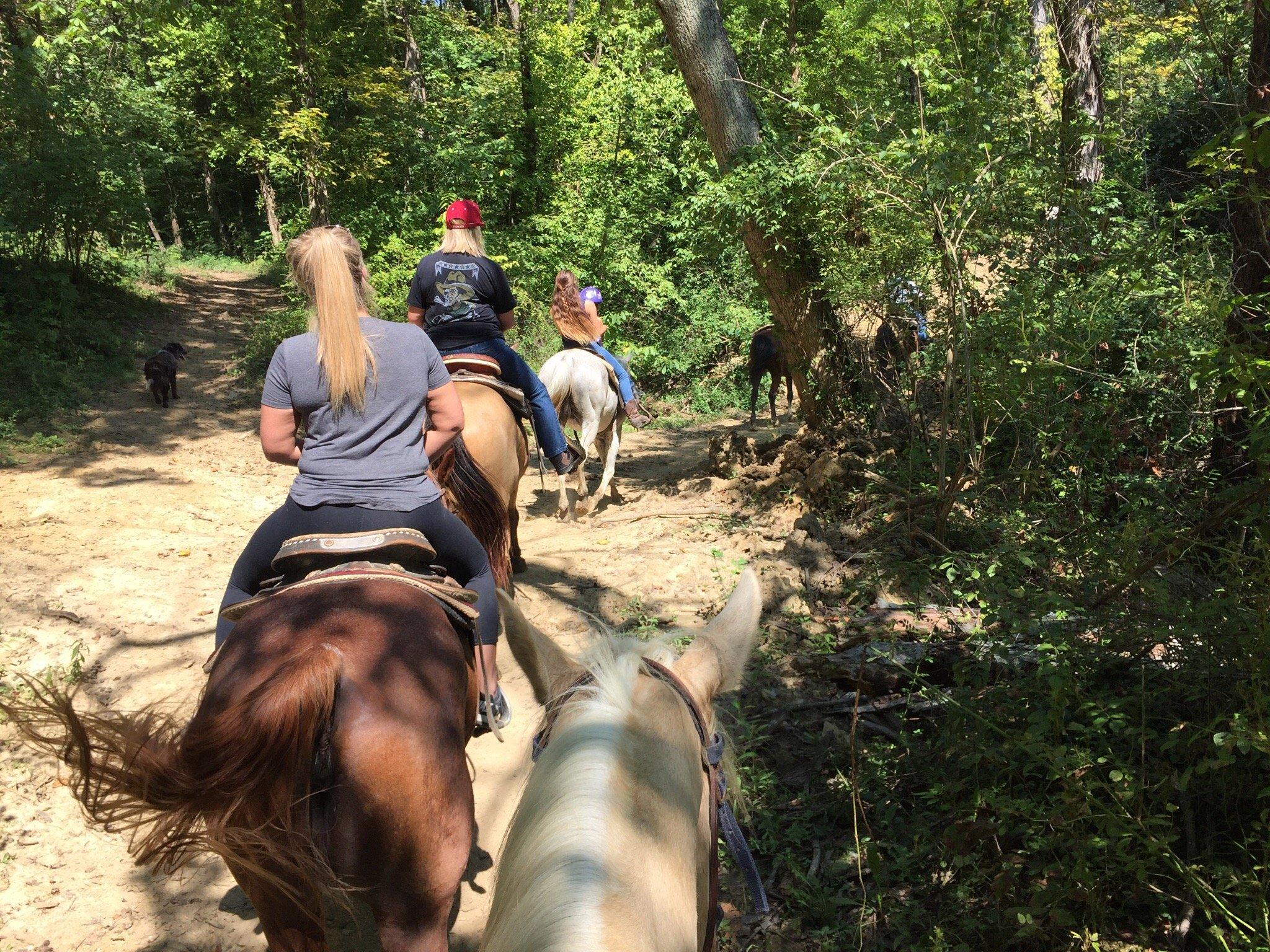 Muddy Water Equestrian
