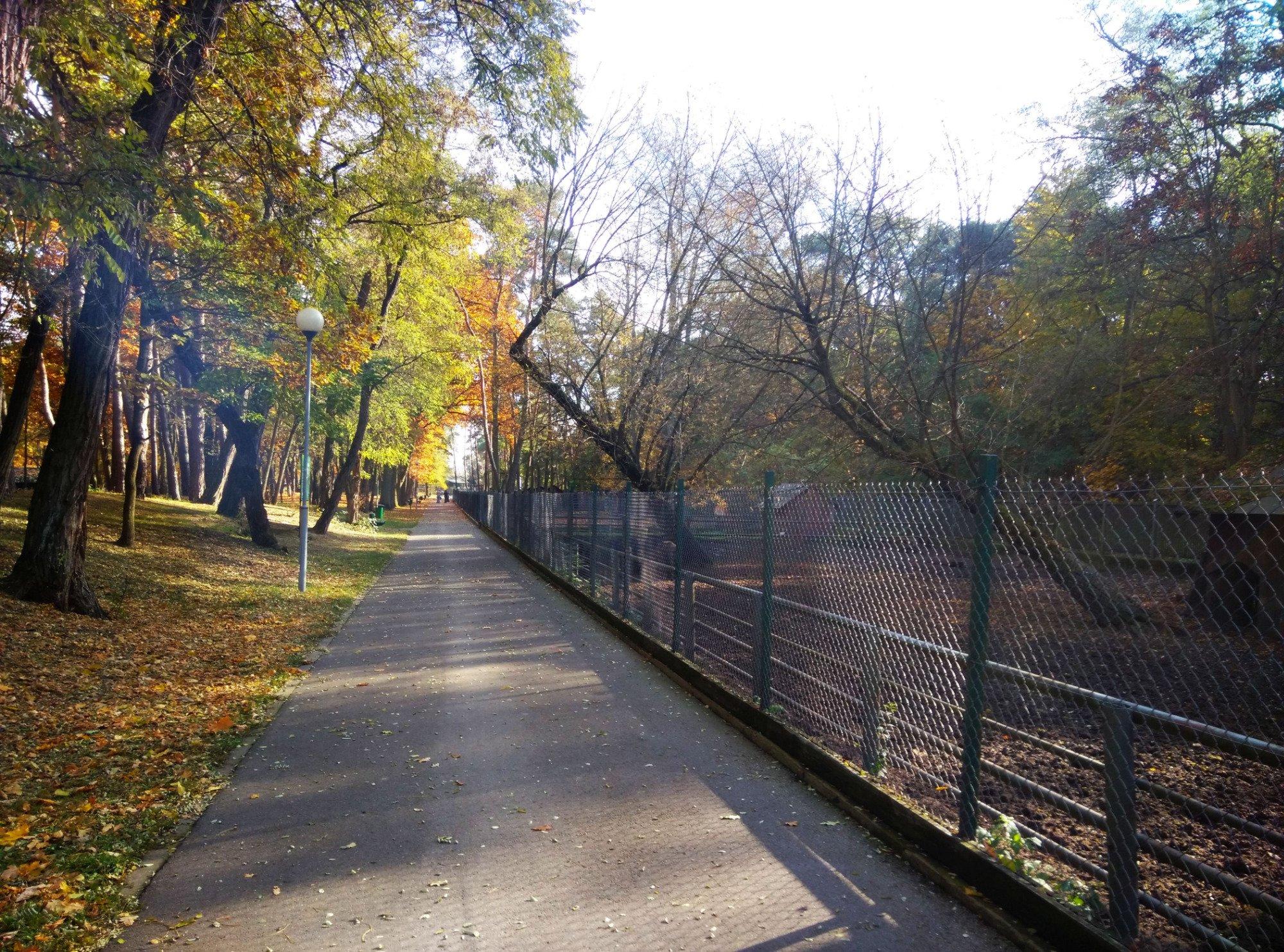 Fryderyk Chopin City Park