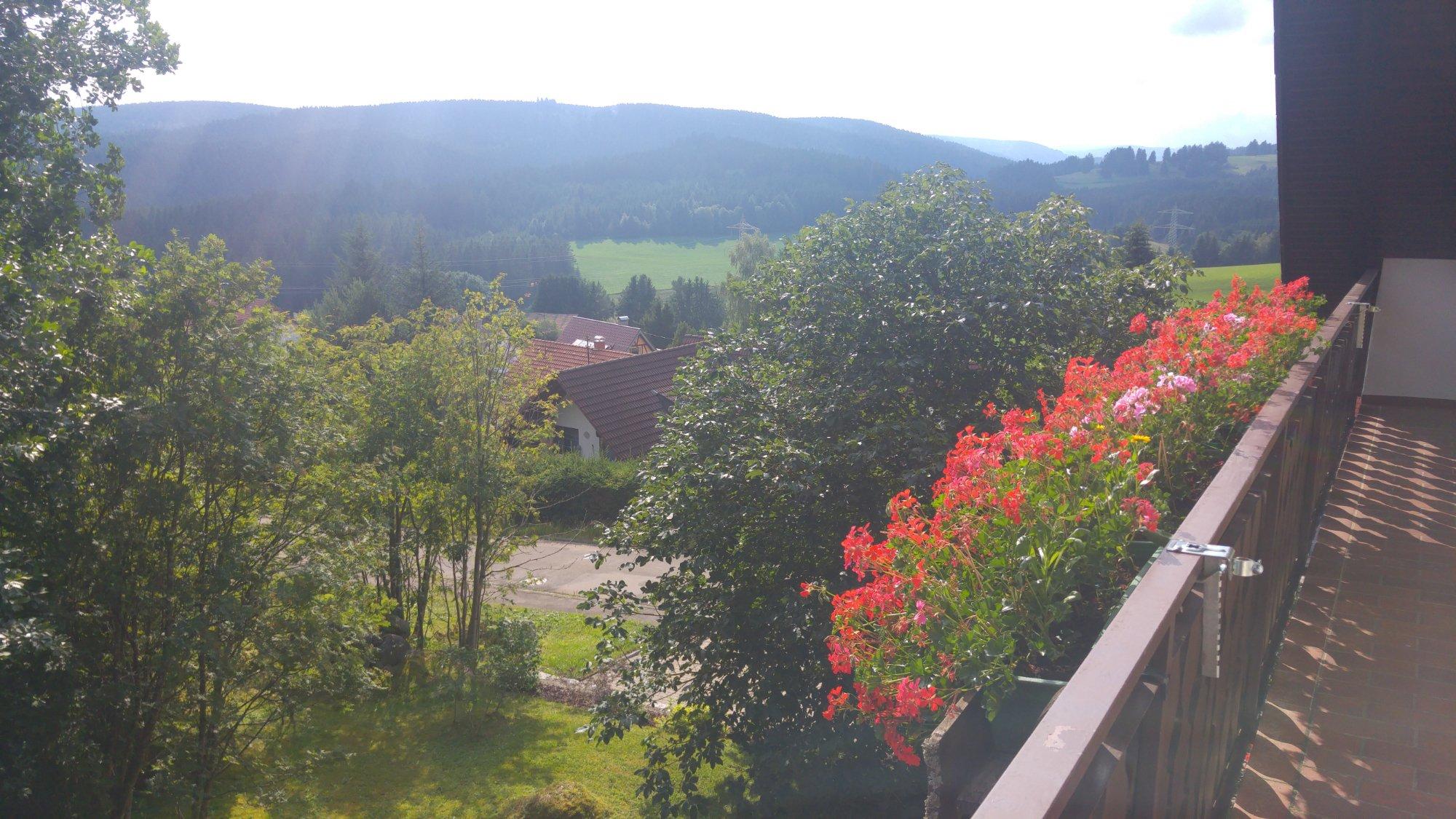 Feldbergblick Pension-Gastehaus
