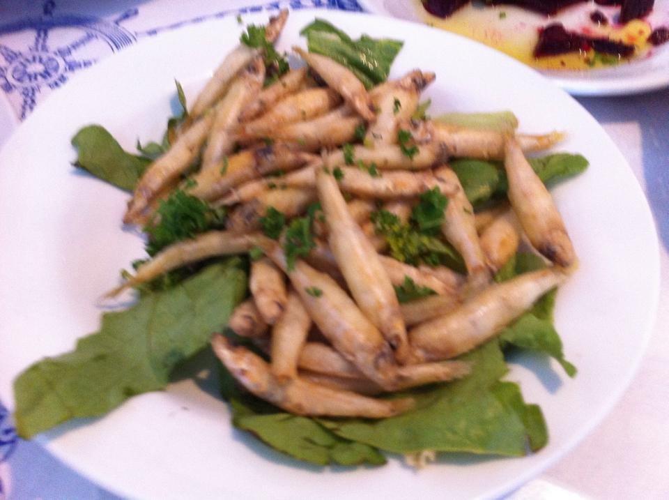 Mediterranean Greek Tavern