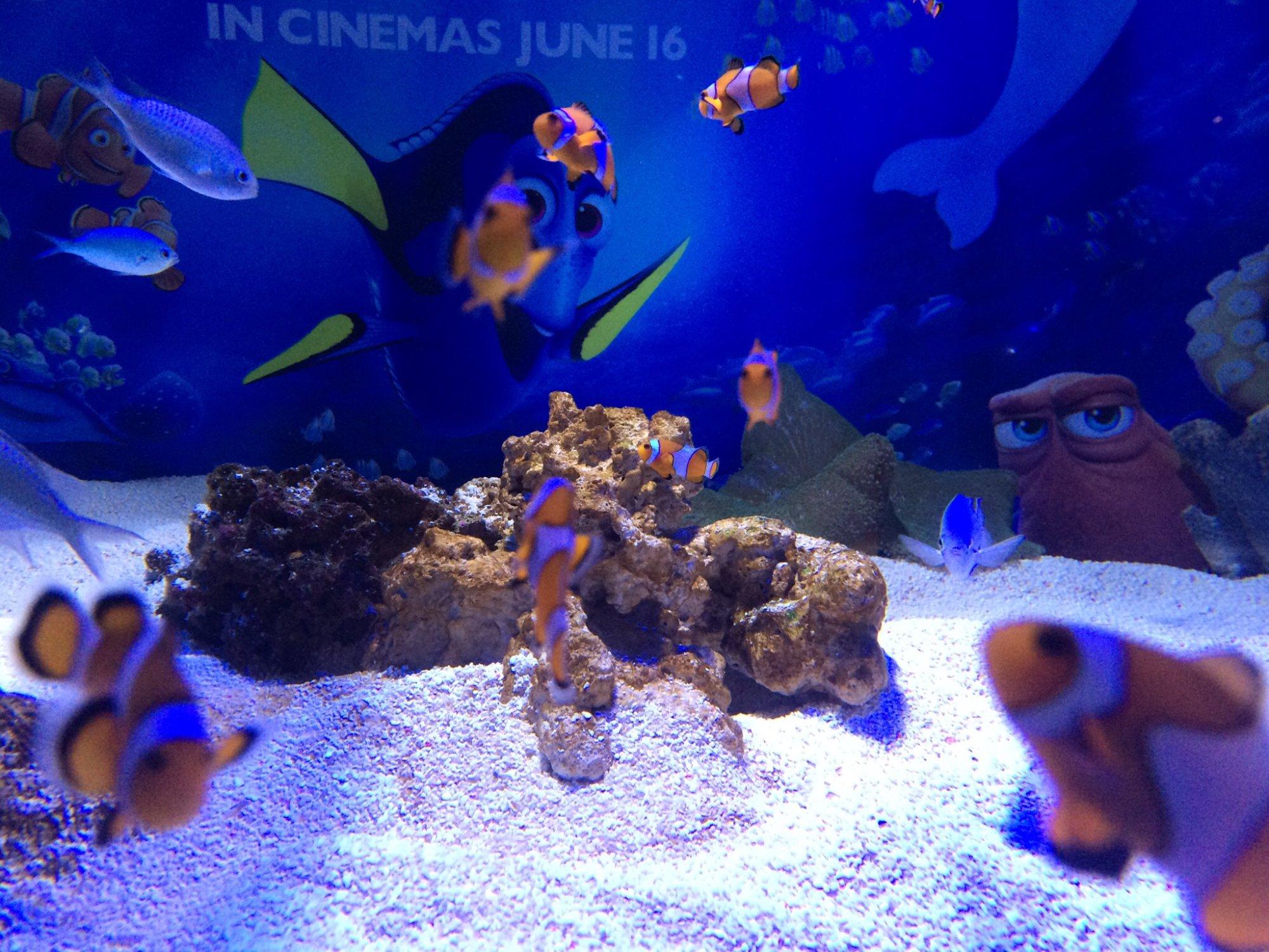 SEA LIFE Sunshine Coast