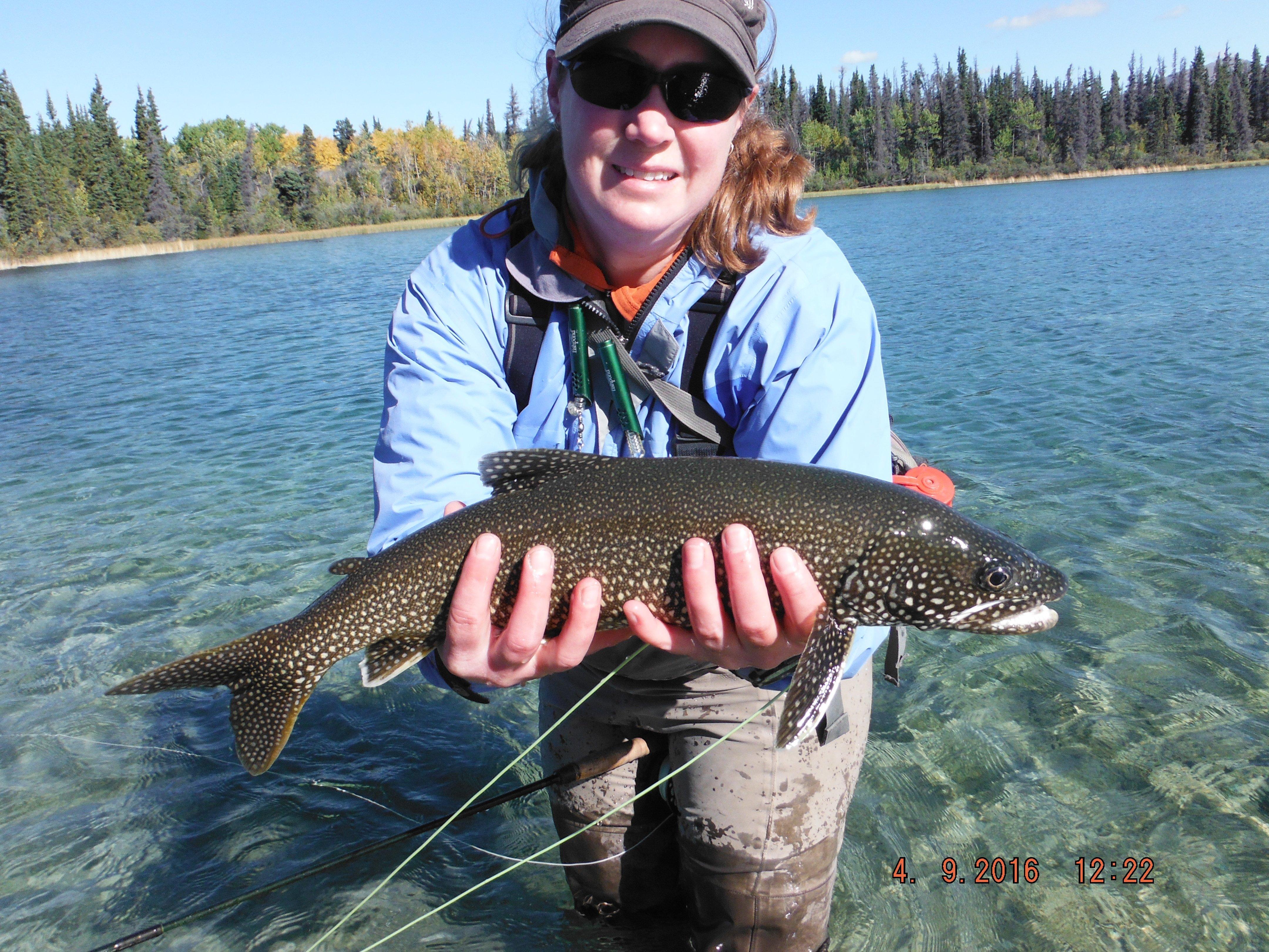 Headwaters 2 Ocean Troutfitter