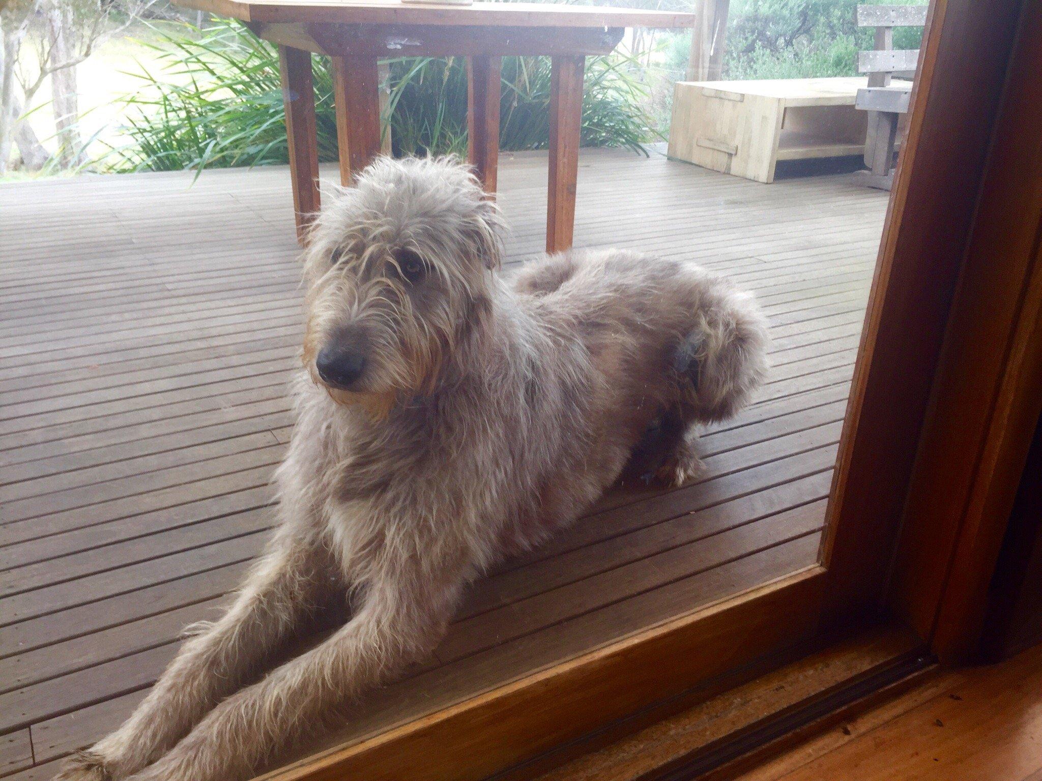 Howards Lane Vineyard