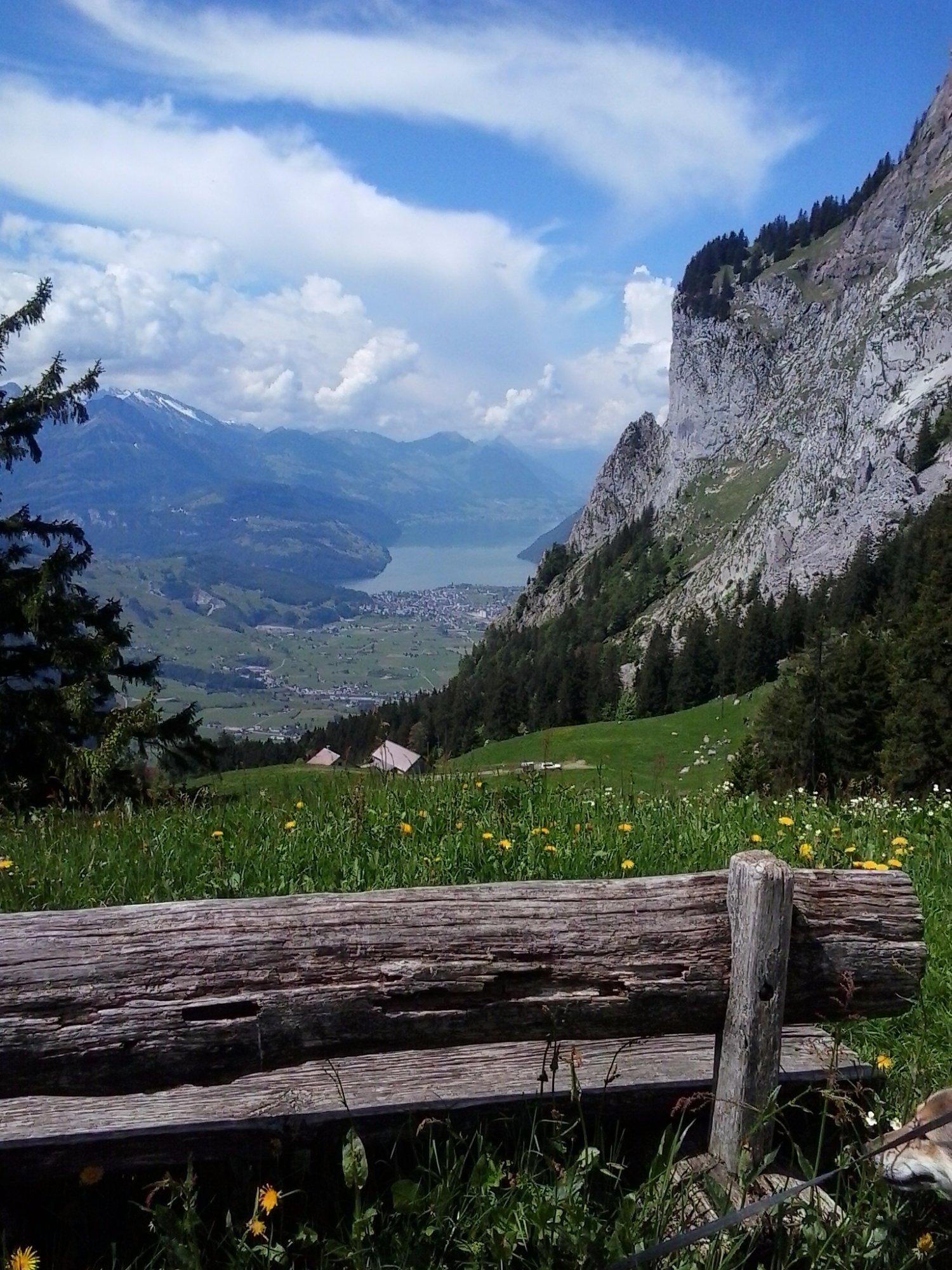 Berggasthaus Holzegg