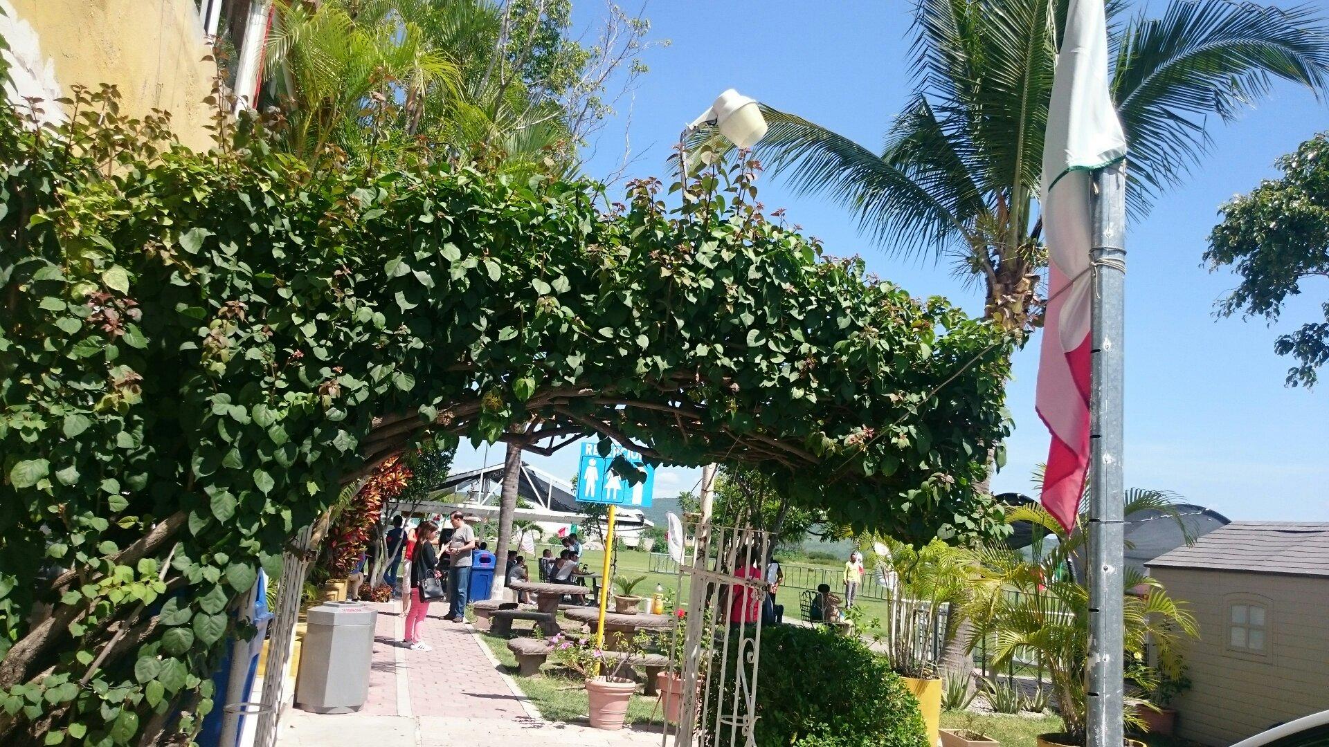 Aeroclub y Hotel Albatros