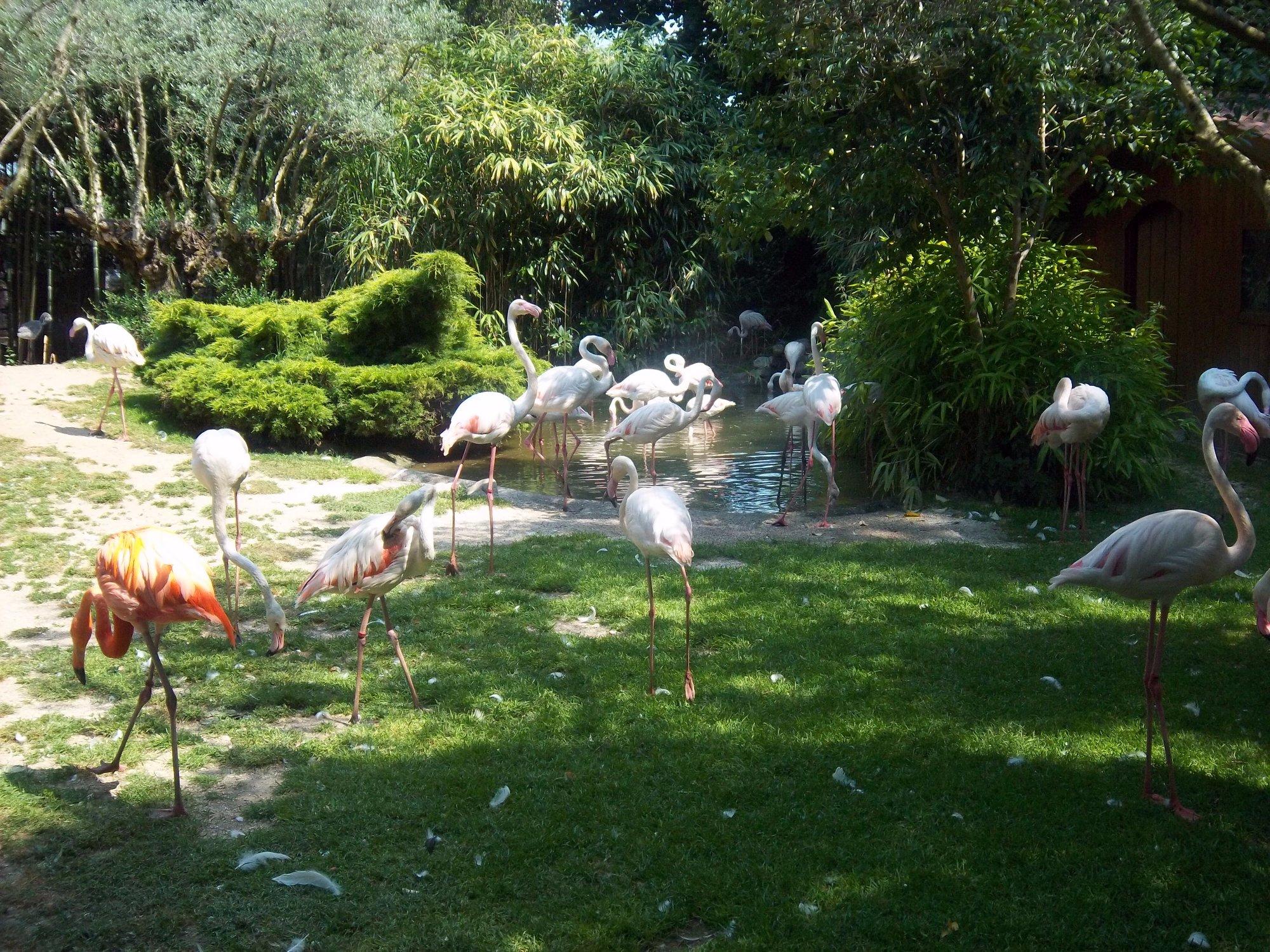 Parco Faunistico Cappeller