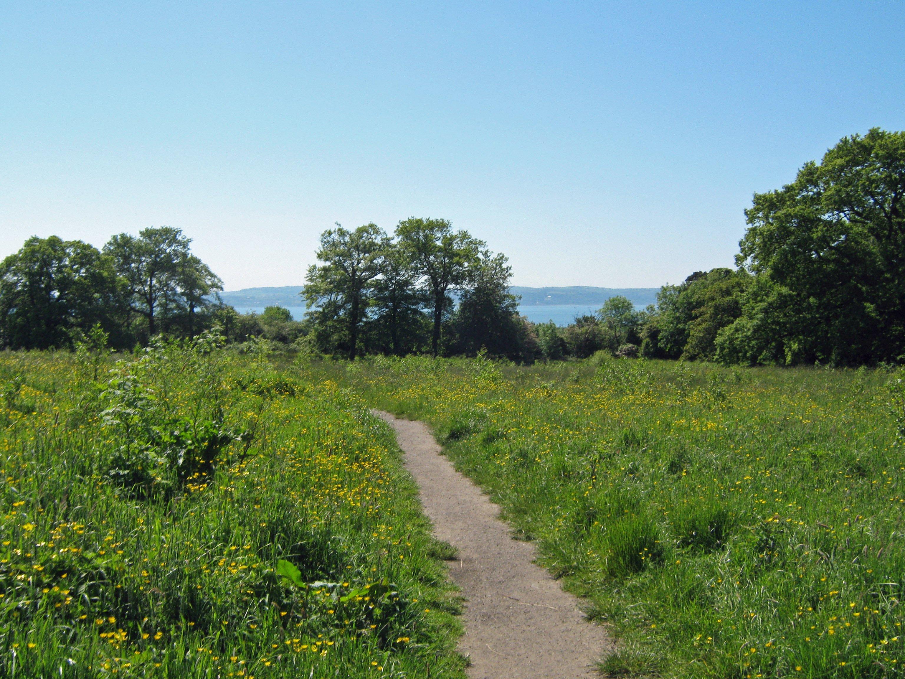 Bashfordsland Wood and Oakfield Glen