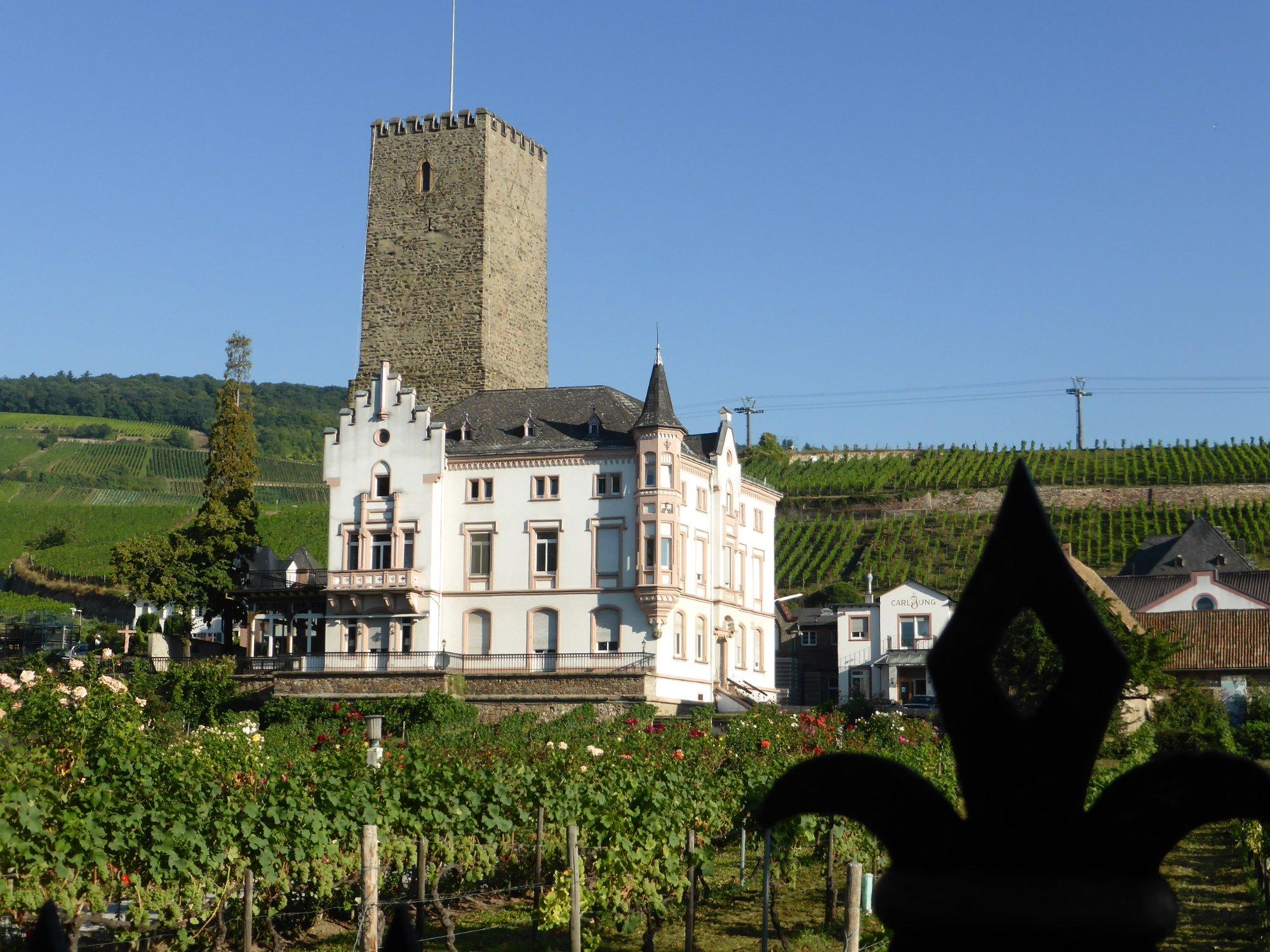 Rheingau Wine Museum Broemserburg Castle