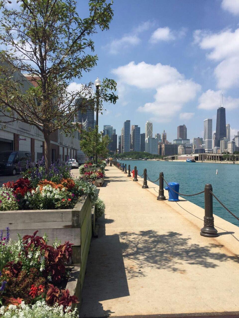 Soundings at Shedd Aquarium