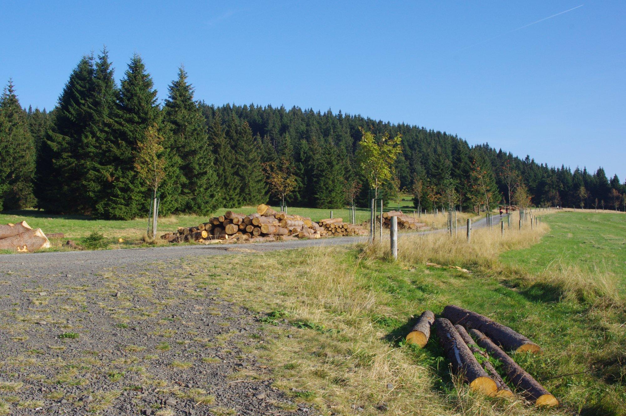 Baby Jesus Trail (Jeziskova Cesta)