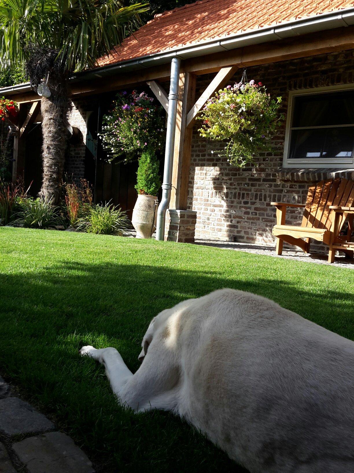 Bed and Breakfast Piekoo Belloo