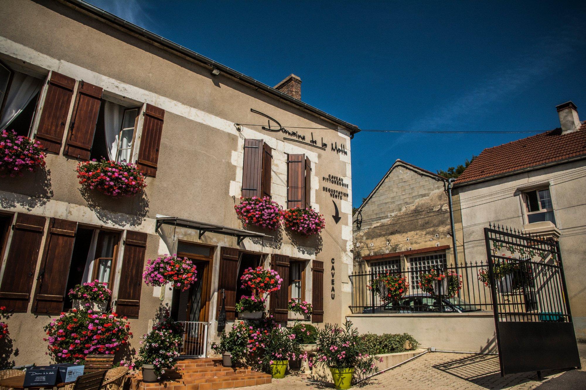 Domaine de la Motte - Chablis Michaut