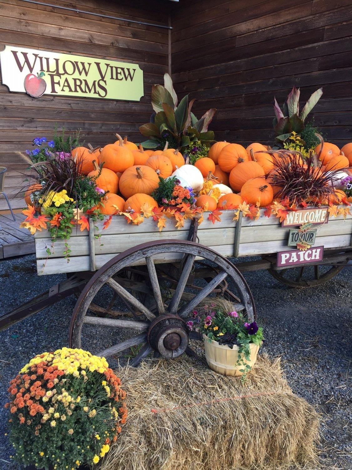 Willow View Farms