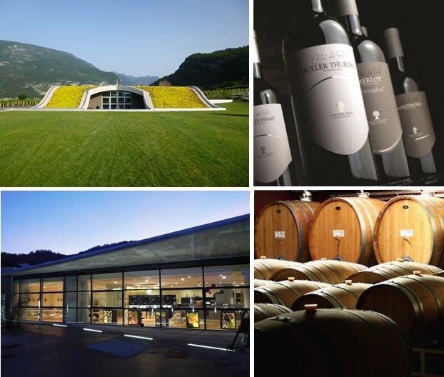 Cantina Mori Colli Zugna