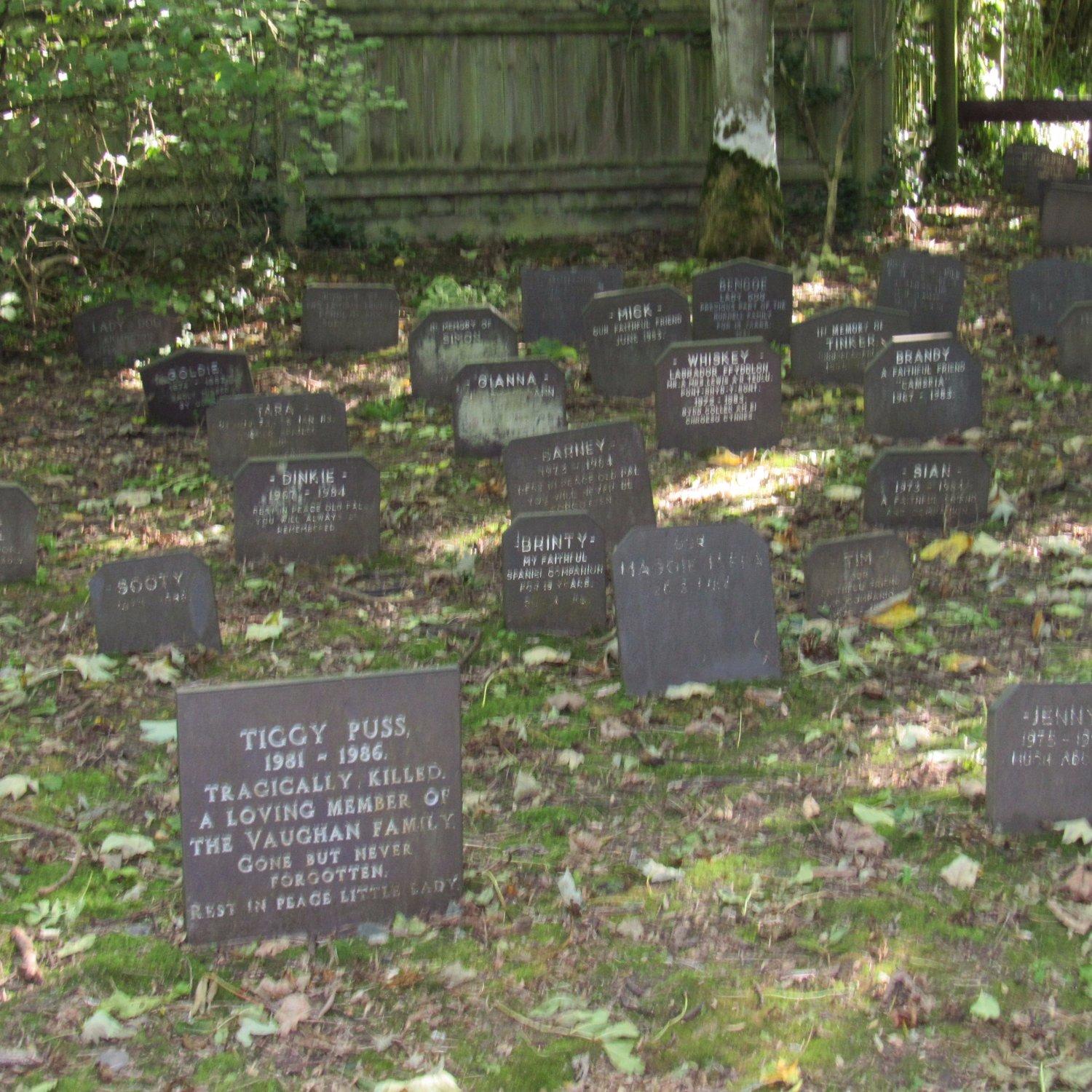 Penrhos Country Park