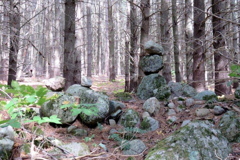Hardy Road (beaver Brook) Trails