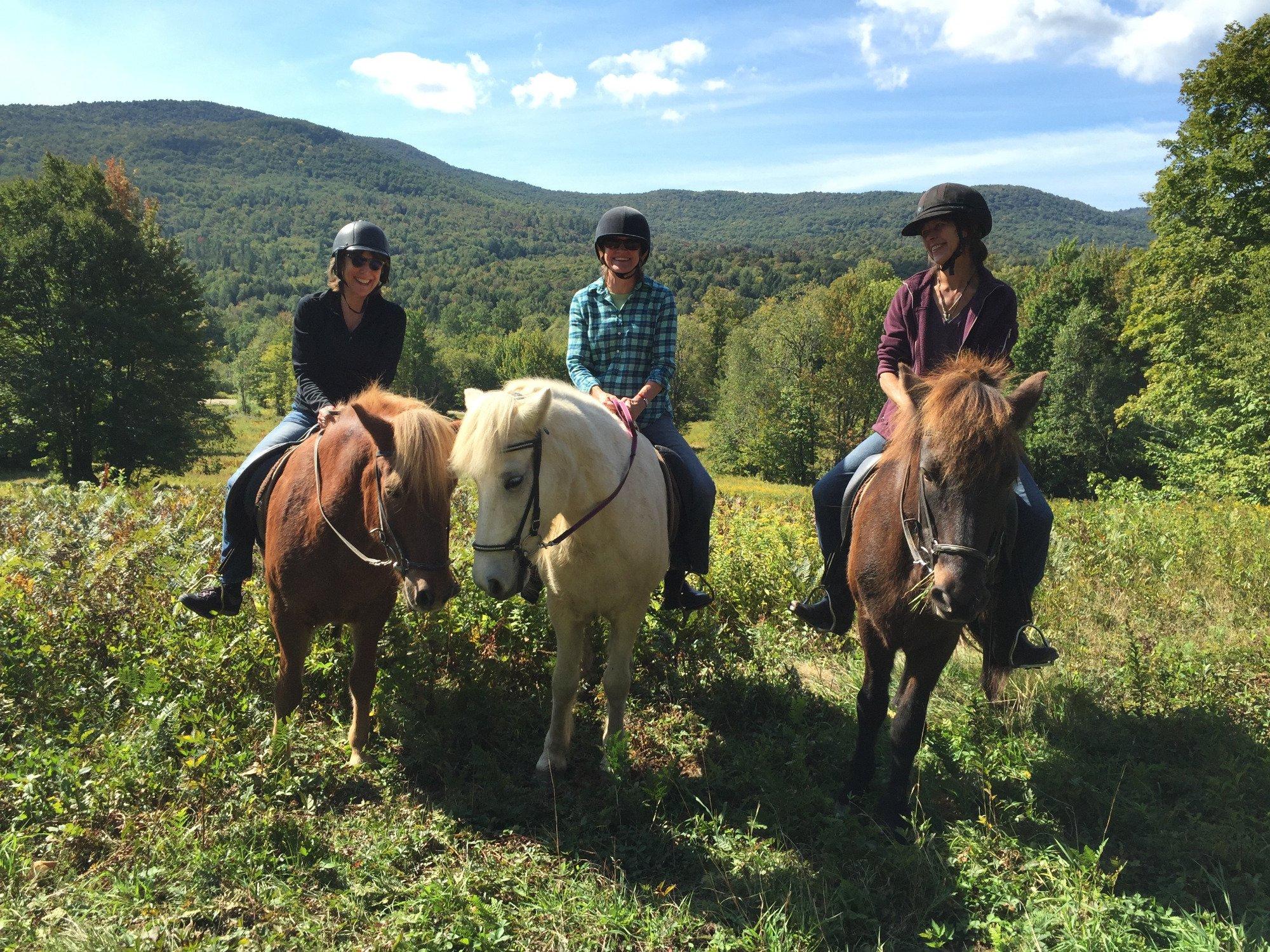 Vermont Icelandic Horse Farm