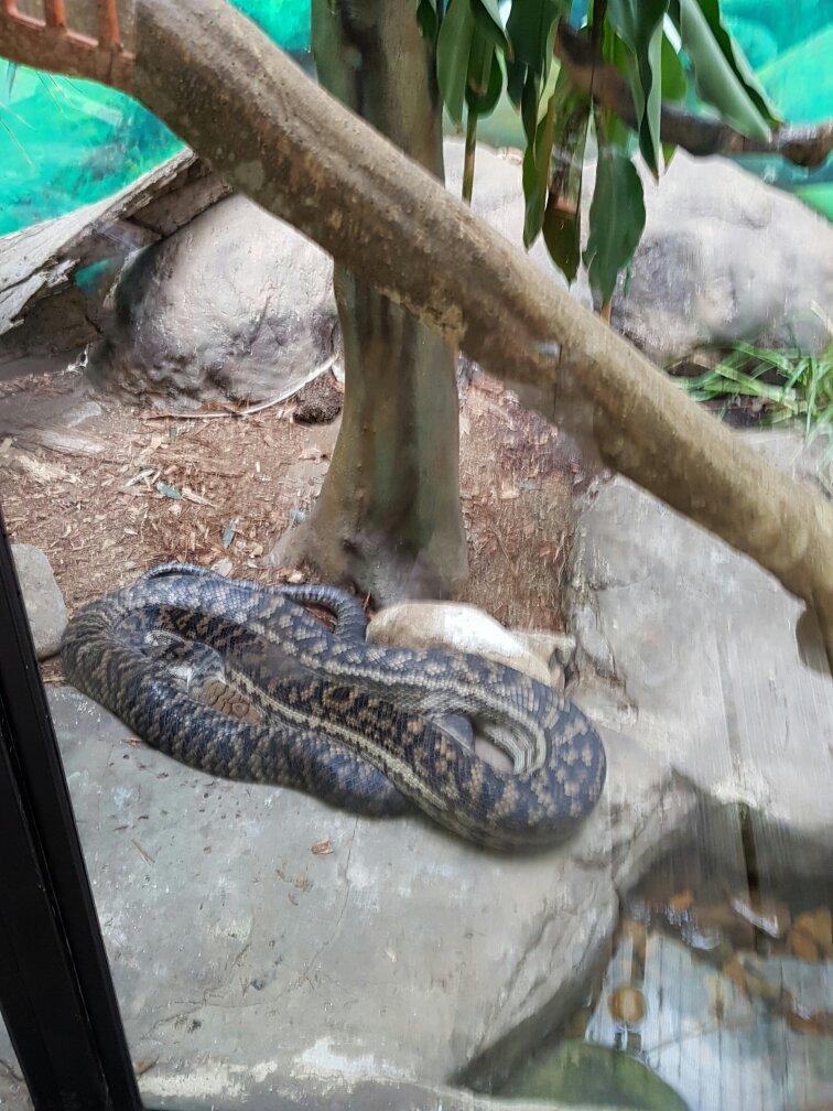 Palm Beach Farmers' Market