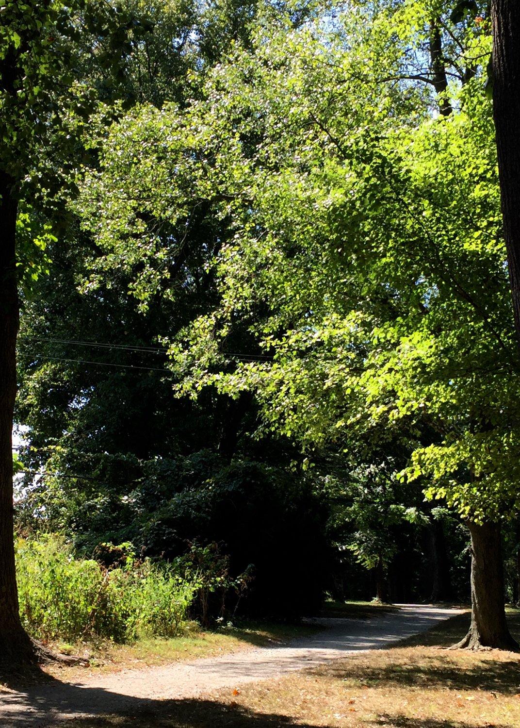 Photo by Elisabeth B