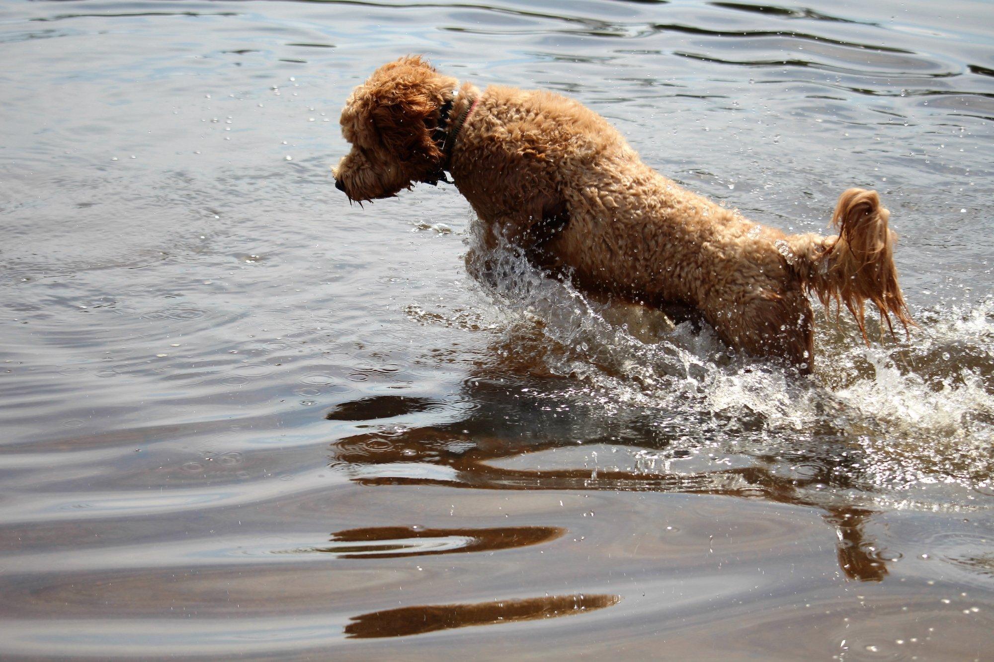 Village Green Family Campground